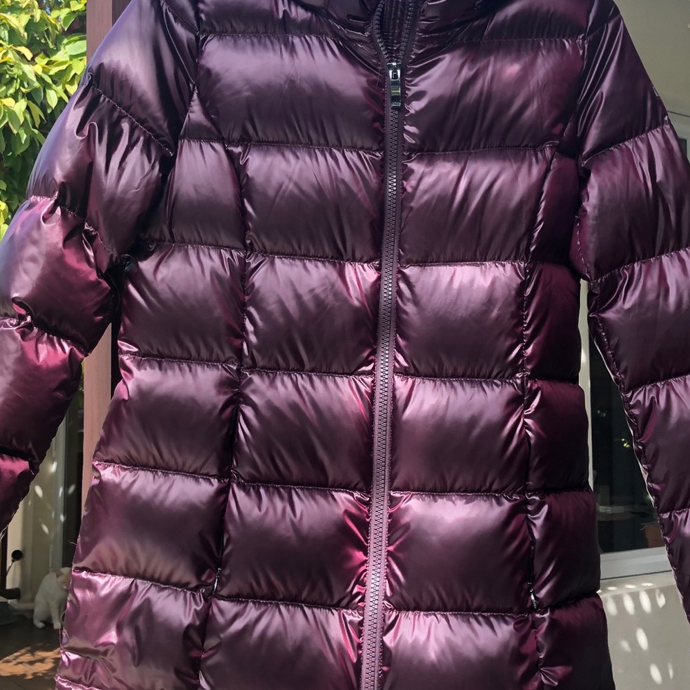 Donna Karan stylish & shiny packable down parka